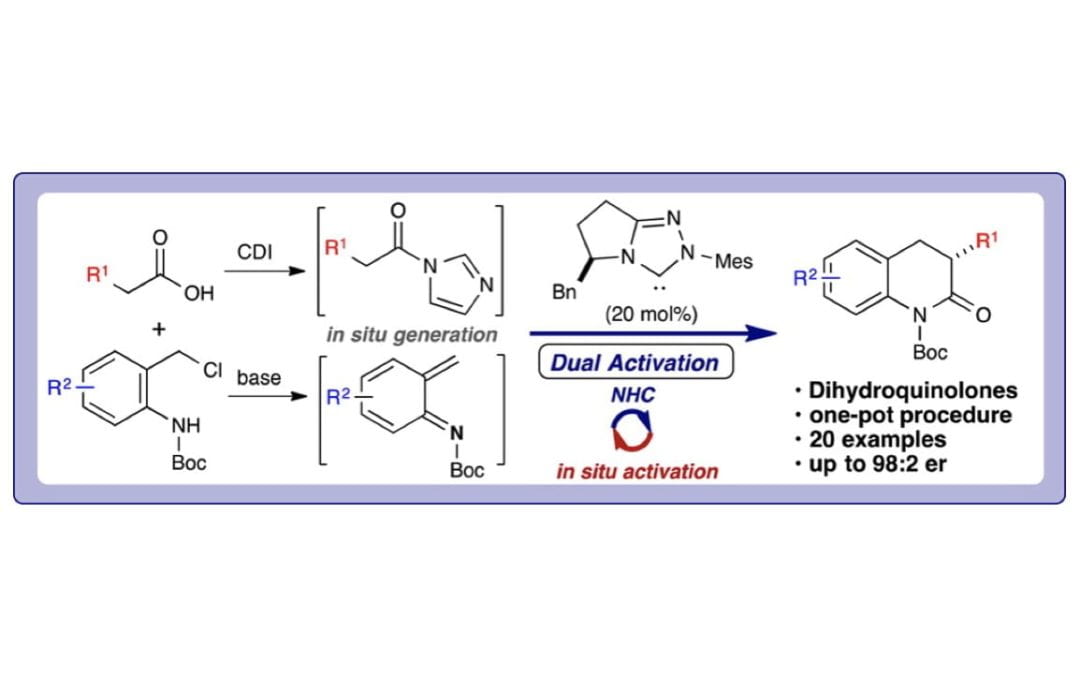Enantioselective Annulations for Dihydroquinolones by in Situ Generation of Azolium Enolates