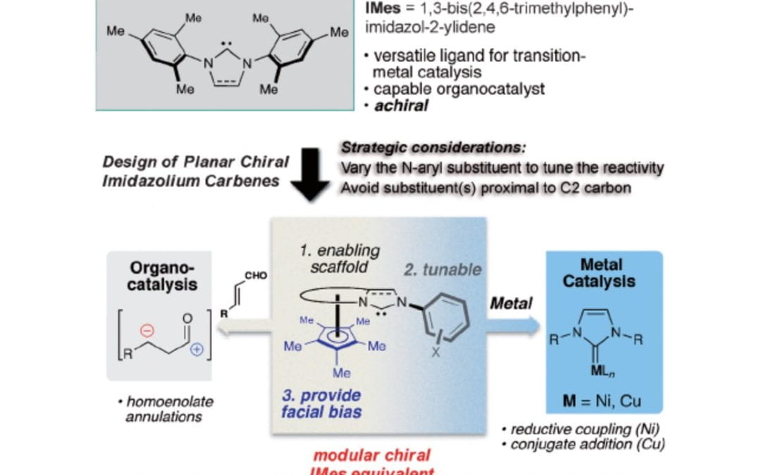 Ferrocene-Based Planar Chiral Imidazopyridinium Salts for Catalysis