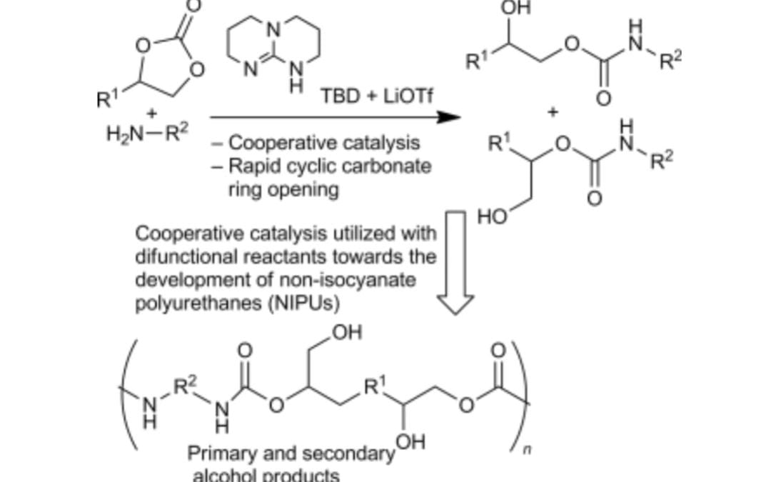 Cooperative Catalysis of Cyclic Carbonate Ring Opening: Application Towards Non-Isocyanate Polyurethane Materials