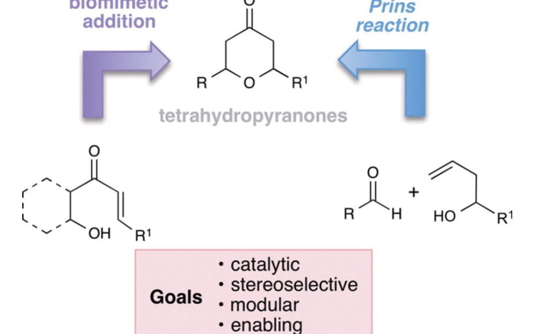 Pyranone Natural Products as Inspirations for Catalytic Reaction Discovery and Development