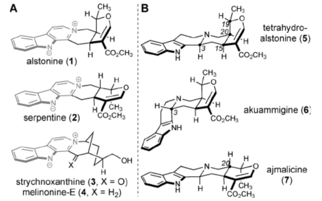 Enantioselective Syntheses of Heteroyohimbine Natural Products: A Unified Approach through Cooperative Catalysis