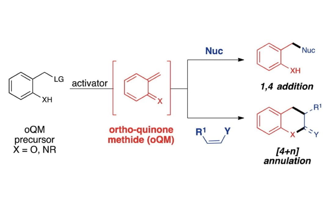 Emerging Roles of in Situ Generated Quinone Methides in Metal-Free Catalysis