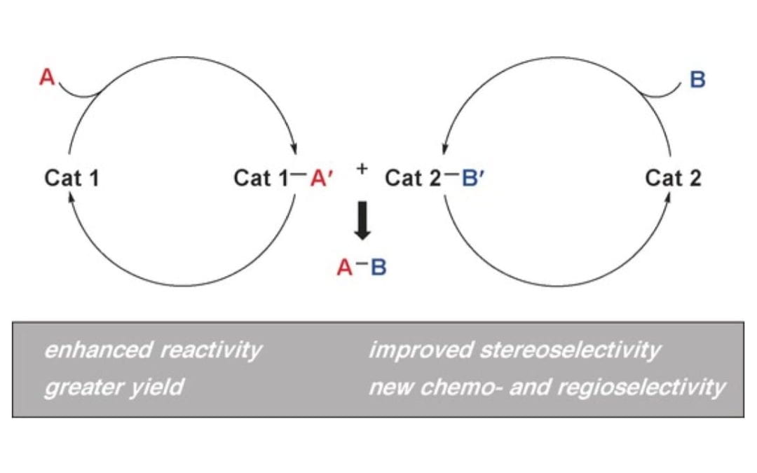 Cooperative Catalysis and Activation with N-Heterocyclic Carbenes