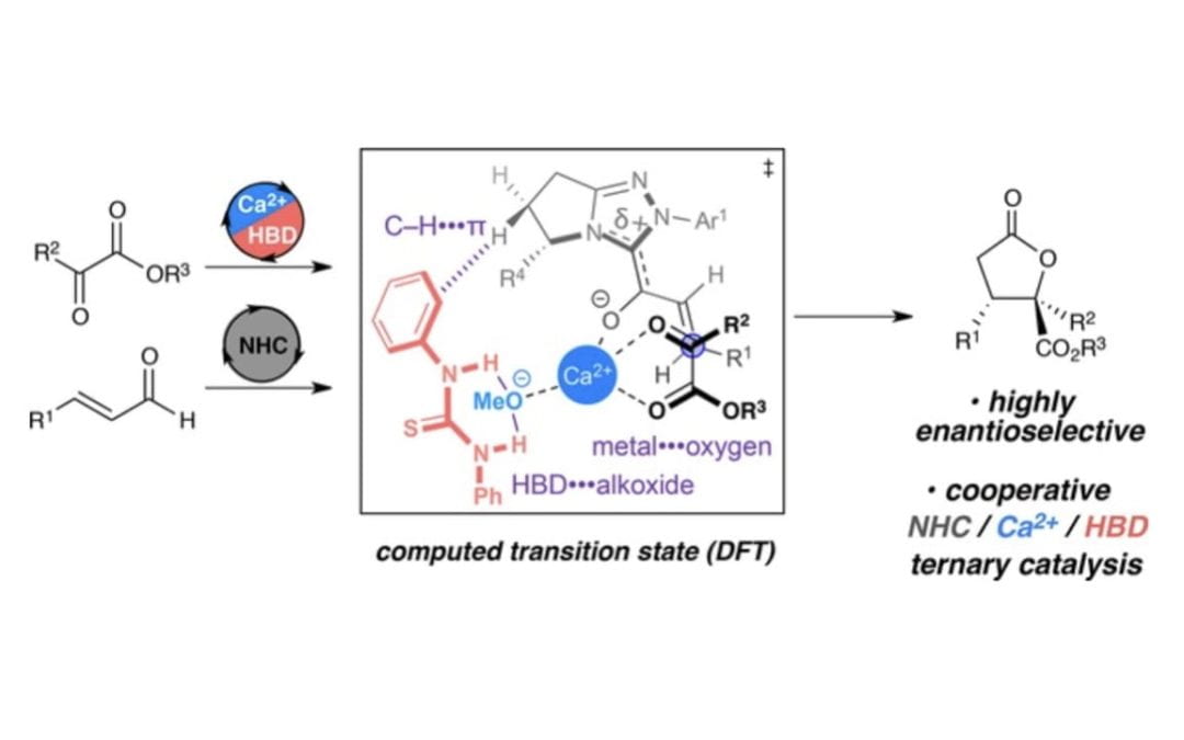 A Cooperative Ternary Catalysis System for Asymmetric Lactonizations of α-Ketoesters