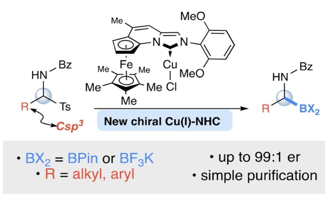 Enantioselective Synthesis of α-Amidoboronates Catalyzed by Planar-Chiral NHC-Cu(I) Complexes