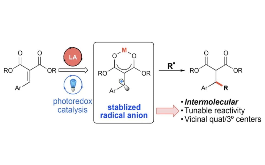 Intermolecular Reductive Couplings of Arylidene Malonates via Lewis Acid/Photoredox Cooperative Catalysis