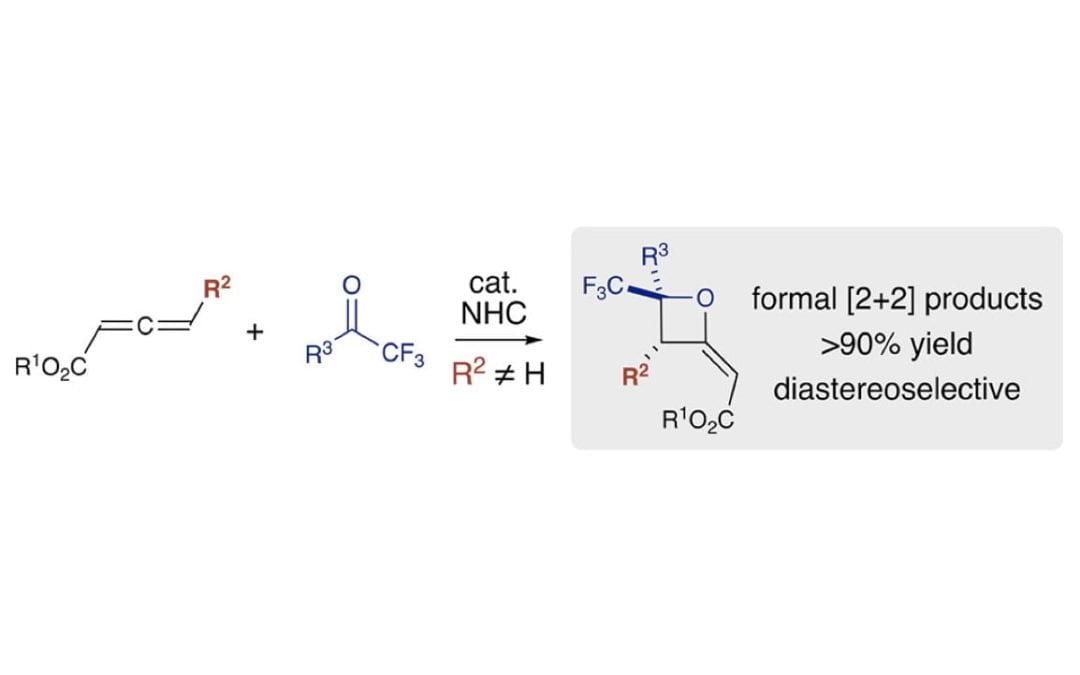 NHC-Catalyzed Formal [2+2] Annulations of Allenoates for the Synthesis of Substituted Oxetanes