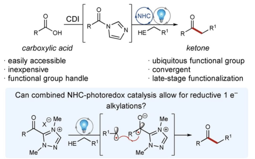 Combined Photoredox and Carbene Catalysis for the Synthesis of Ketones from Carboxylic Acids