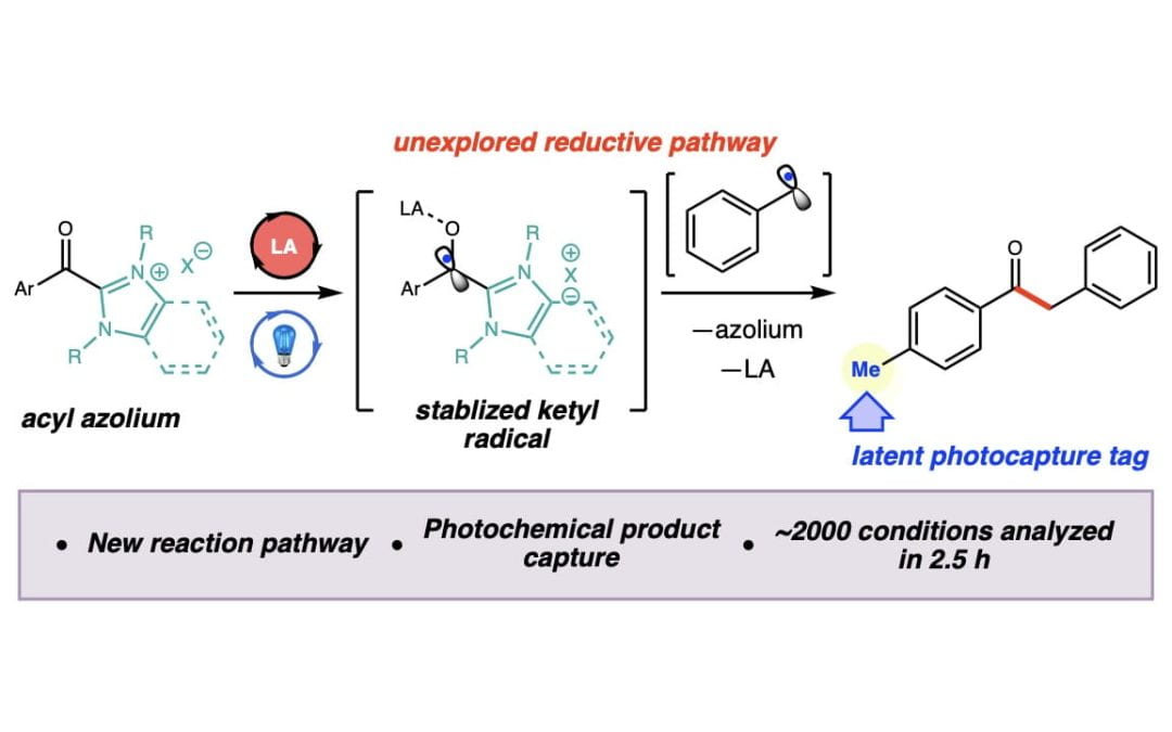 High-throughput photocapture approach for reaction discovery