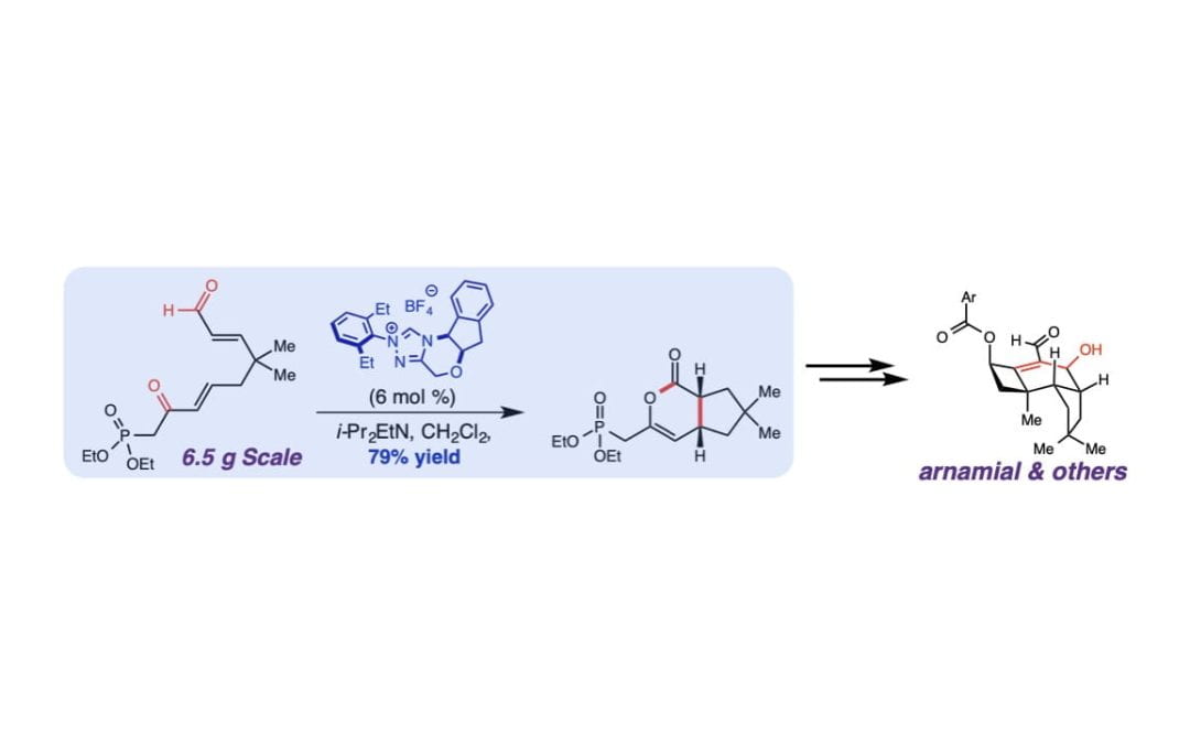 A Carbene Catalysis Strategy for the Synthesis of Protoilludane Natural Products