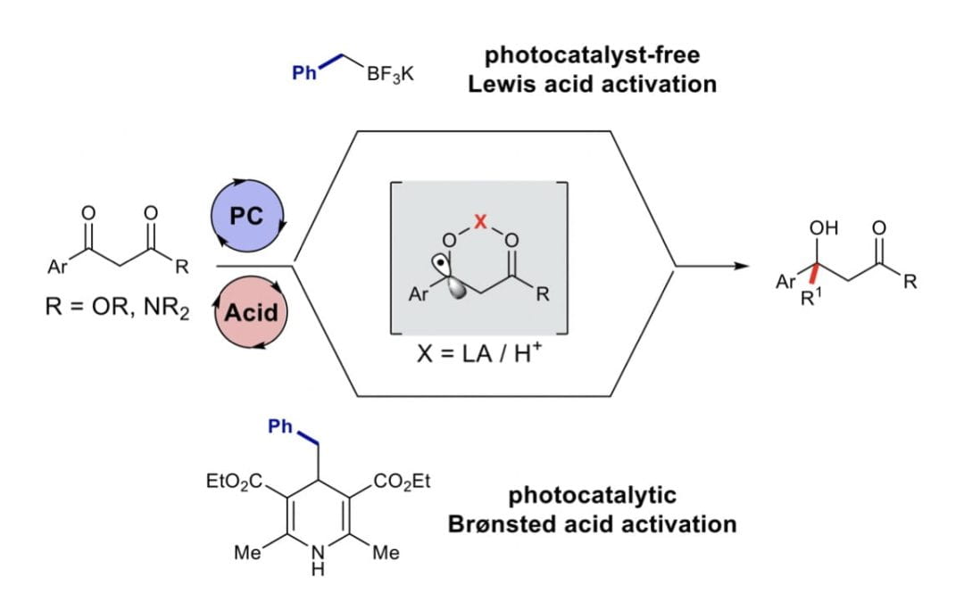 Radical coupling of β-keto esters and amides promoted by Brønsted/Lewis acids