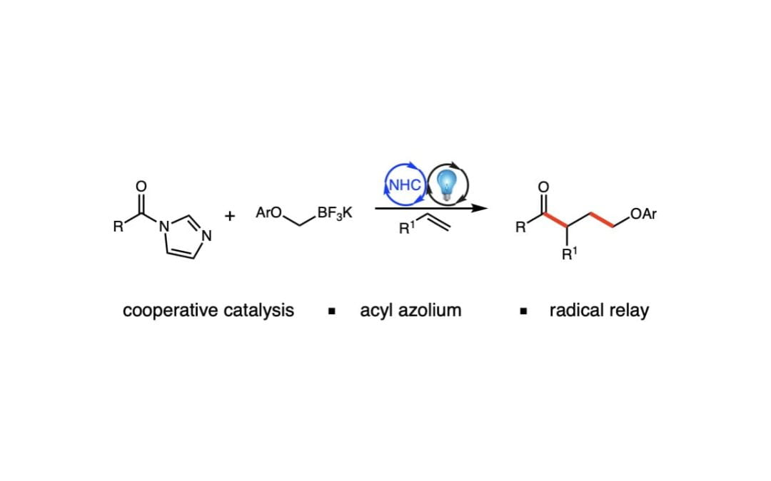 Combined Photoredox and Carbene Catalysis for the Synthesis of γ-Aryloxy Ketones