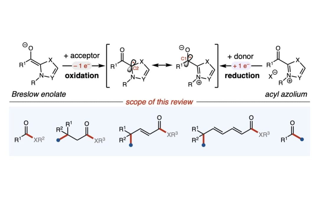 Single-electron carbene catalysis in redox processes