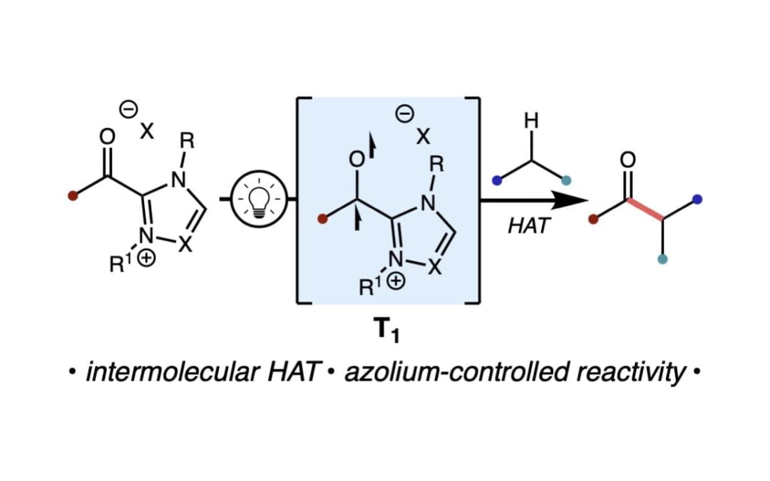 Photoinduced Acylations Via Azolium-Promoted Intermolecular Hydrogen Atom Transfer