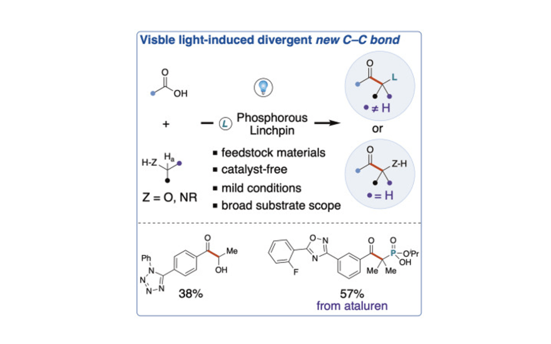 Visible light-induced coupling of carboxylic acids with alcohols/amines via a phosphorous linchpin strategy