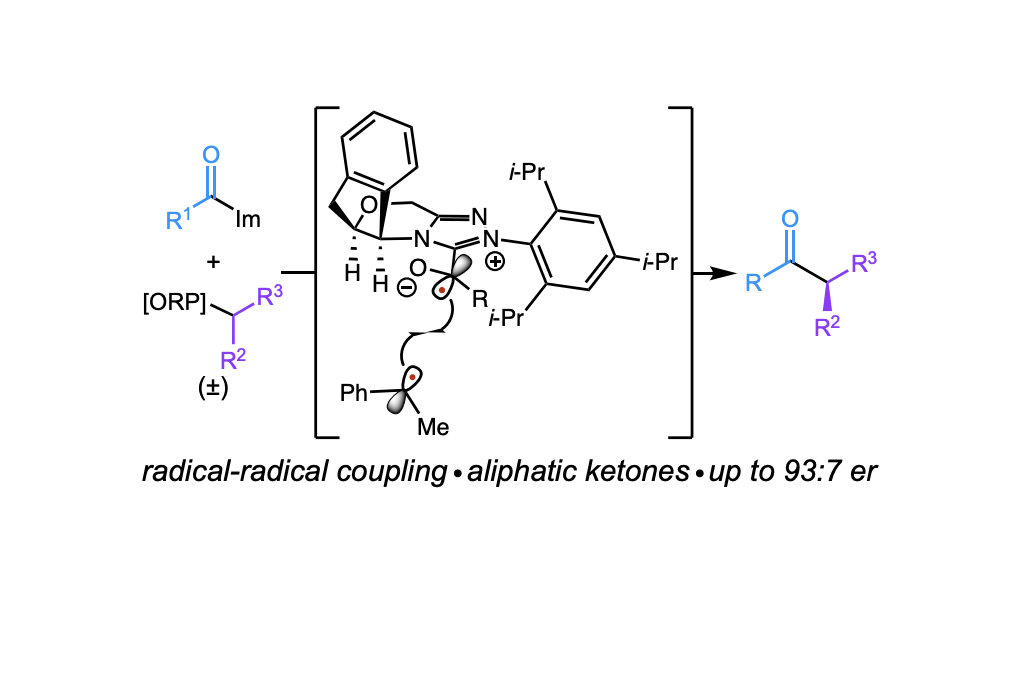 Light-Driven Enantioselective Carbene-Catalyzed Radical-Radical Coupling