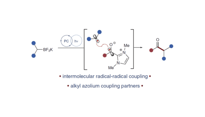 Photoredox-Catalyzed Radical–Radical Coupling of Potassium Trifluoroborates with Acyl Azoliums