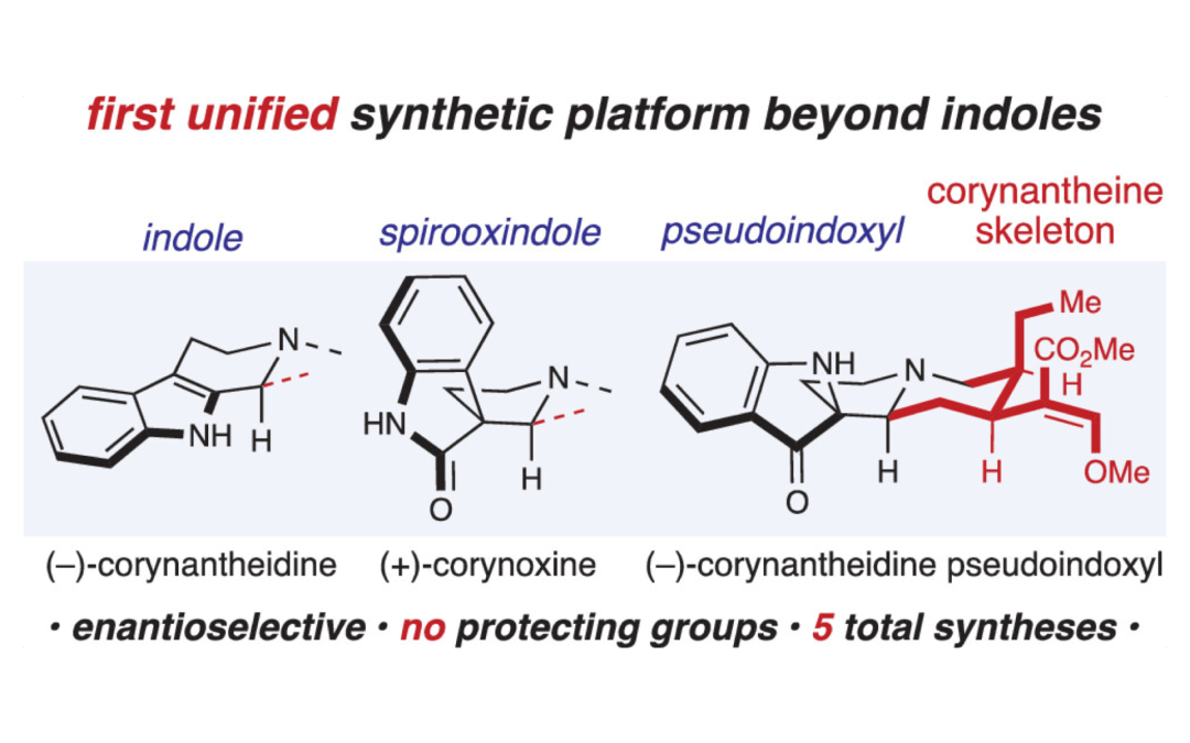 A Platform for the Synthesis of Corynantheine-Type Corynanthe Alkaloids