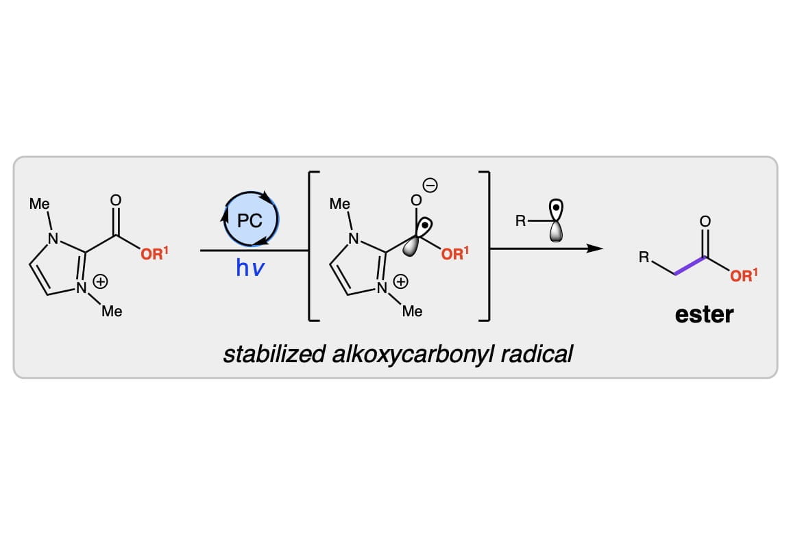 Photocatalytic acyl azolium-promoted alkoxycarbonylation of trifluoroborates
