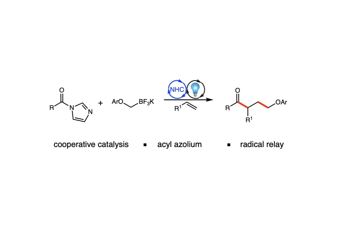 Combined Photoredox and Carbene Catalysis for the Synthesis of γ-Aryloxy Ketones