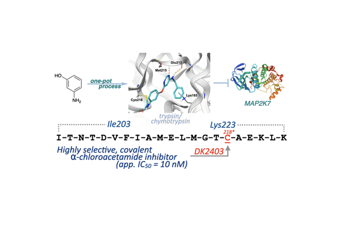 Rational Design of Highly Potent and Selective Covalent MAP2K7 Inhibitors